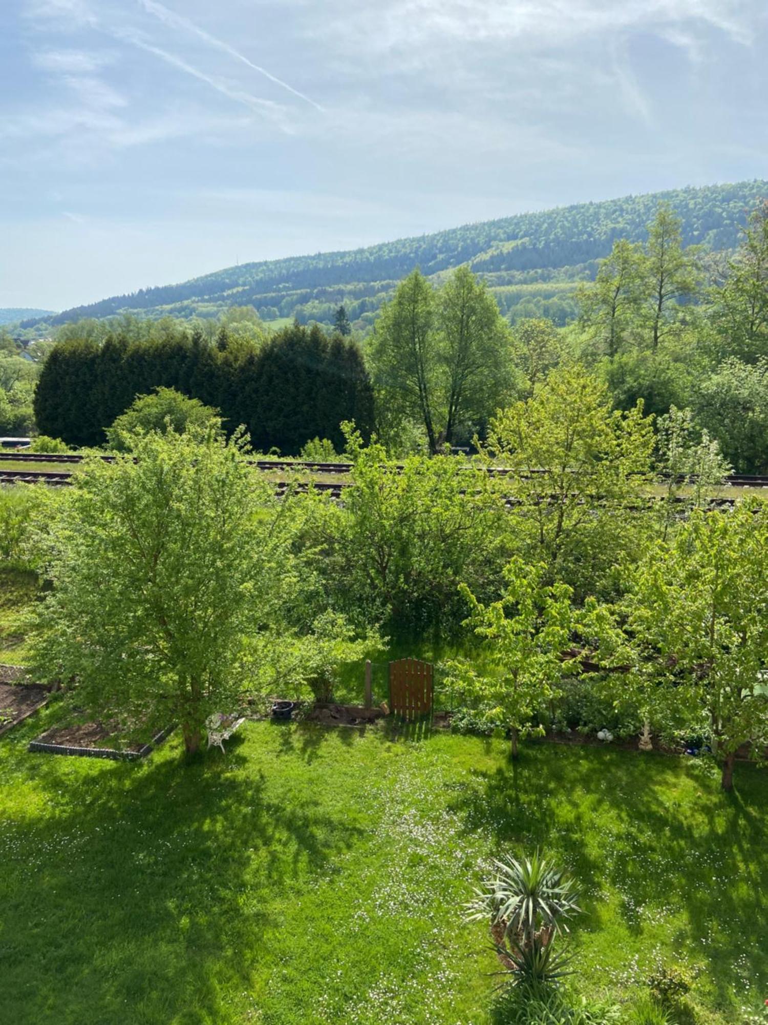 2Z-Ferienwohnung, Umgeben Vom Spessart & Main Stadtprozelten Buitenkant foto