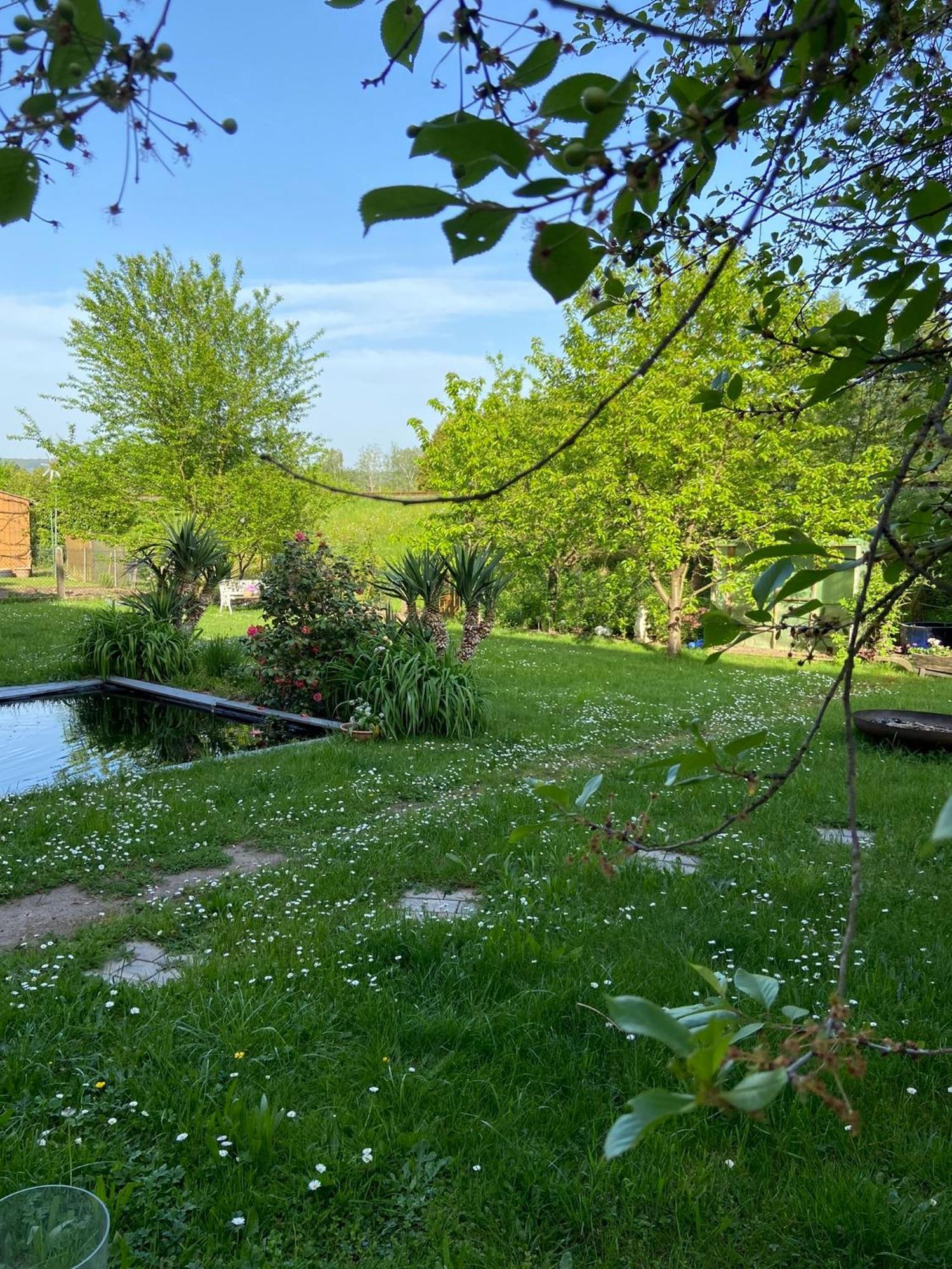 2Z-Ferienwohnung, Umgeben Vom Spessart & Main Stadtprozelten Buitenkant foto